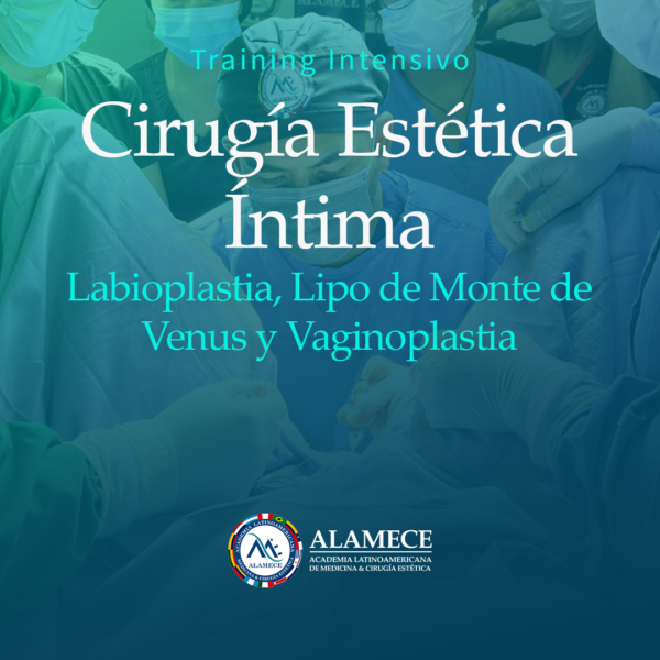 Training Intensivo Cirugía Estética Íntima Femenina Labioplastia Lipo De Monte De Venus Y 2394